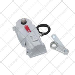 Operatore Motore Per Cancello Ante Battente Interrato FAAC 10675301 770 770N 24V