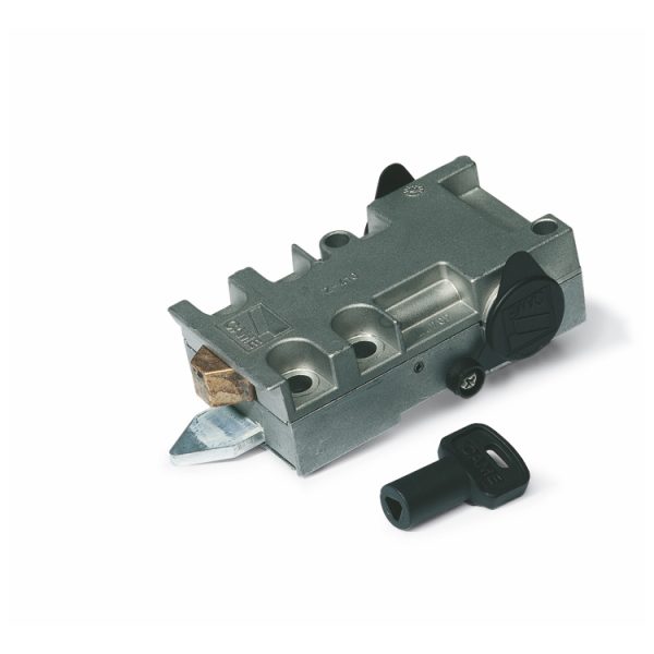 Dispositivo Gruppo Di Sblocco Con Chiave Trilobata Per Frog CAME 001A4365 A4365