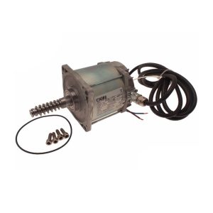Gruppo Motore Elettrico 24v - Per Frog A24E Interrato Ricambio CAME 119RIA088
