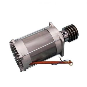 Gruppo Motore Elettrico Per Bx-24 24v Ricambio CAME 119RIBX020