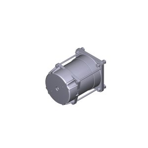 Gruppo Motore Elettrico FERNI F1024 24v Ricambio CAME 119RID095