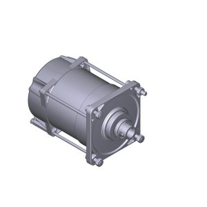 Gruppo Motore Elettrico EMEGA E456 230v Ricambio CAME 119RIE152