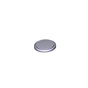 Batteria Cr2450 Ricambio CAME 119RIR443