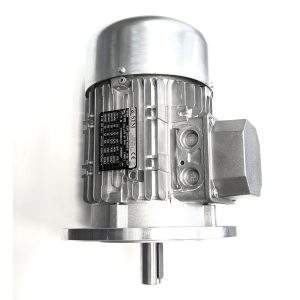 Gruppo Motore Elettrico BY By-3500T 400V Ricambio CAME 119RIY070