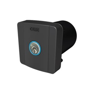 Selettore a Chiave Da Incasso CAME SELC2FDG 806SL-0020