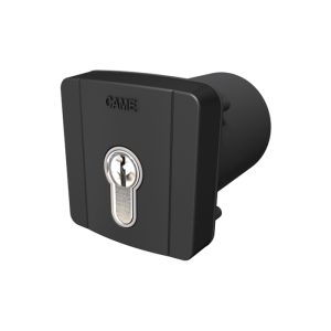 Selettore a Chiave Da Incasso CAME SELD2FAG 806SL-0100