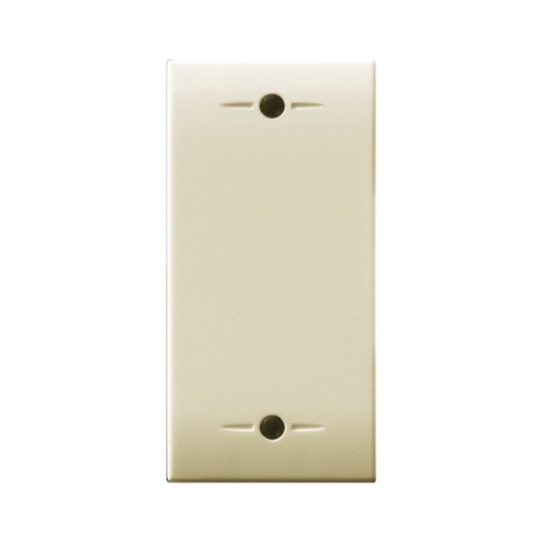 Tasto Avebus 2 Funzioni Class 1M AVE 449ELA02-C
