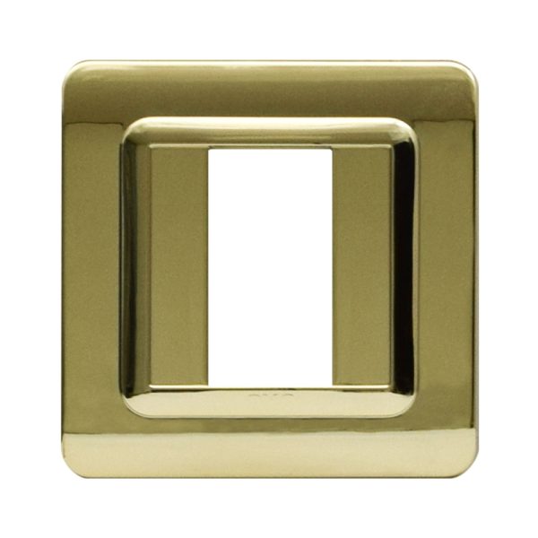 Placca Tecn.44 Ottone Lucido 1M AVE 44P31OT