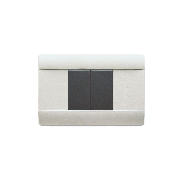 Placca Ral45 Tecno.2M.Aff.Grig. Ral AVE 45P02R