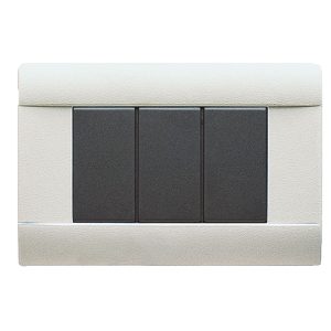 Placca Ral45 Tecno.3M.Grig. Ral7035 AVE 45P03R