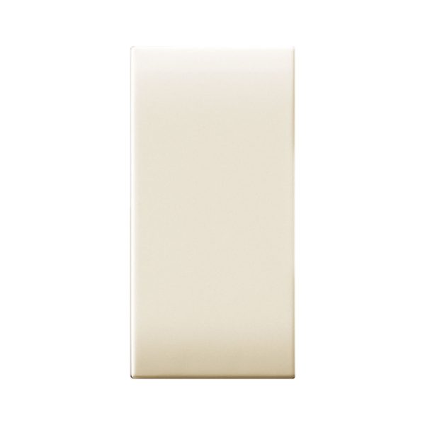 Tappo Copriforo Class 1M AVE 449013