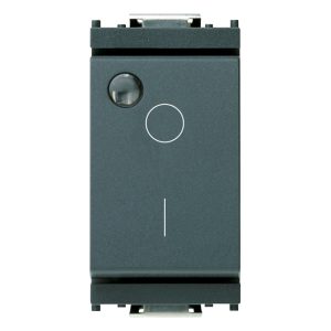 Interruttore 2P 16Ax Lum.So Grigio VIMAR 16036