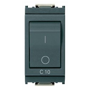 Interruttore Mt 1P+N C10 120-230V Grigio VIMAR 16505.10