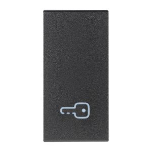 Tasto 1M Simbolo Chiave Grigio VIMAR 19021.P