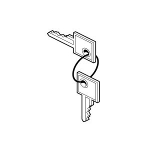 Chiavi Di Sblocco SLX24DRACO SLI24DRACO Ricambio Originale CARDIN 9991094