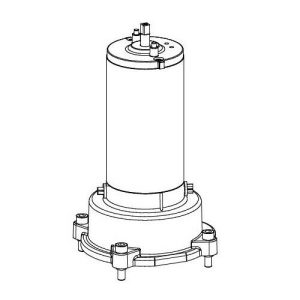 Gruppo Motore Elettrico 24V BL3924MCB BL3924MRCB BL3924S BL3924SR Ricambio CARDIN 999875