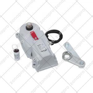 Operatore Motore Per Cancello Ante Battente Interrato FAAC 10675201 770N 770 230V