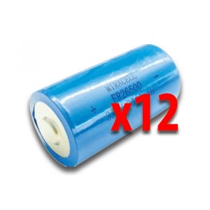 Confezione 12 Batterie Per Fotocosta BFT DCW BAT N999465 2600425