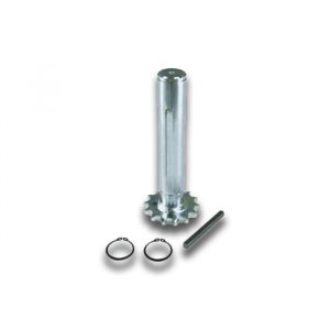 Pignone 12 Denti BFT PIG 12/ULISSE S N733338 2600566