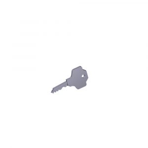 Chiave Per Colonnina Psone CAME  119RIG481