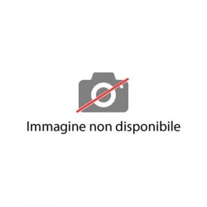 Kit Viterie Finecorsa Scorrevole Ricambio GENIUS 6100343
