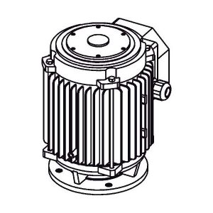 Motore Elettrico Hp 1,0 Trifase Mod. 200/4 FADINI 20057 Ricambio Per MEC 200