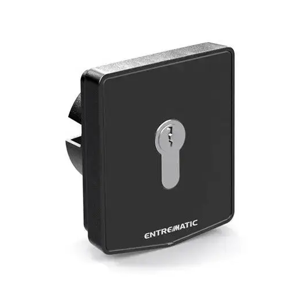 Selettore a Chiave Da Semi Incasso Cilindro Europeo DITEC ENTREMATIC AXK5I Selettore a Chiave Da Semi Incasso Cilindro Europeo DITEC ENTREMATIC AXK5I