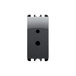 Presa Per Circuiti Ausiliari Bt Polarizzata, 1 Modulo, 2P 6A-24V (10A-48V), Nea, Acciaio Scuro URMET 10325AC