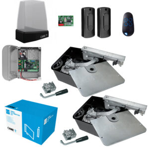 Kit Automazione Cancello Anta Battente CAME FROG-A24 Interrato 24V Con Cassa Fondazione