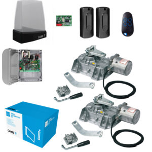 Kit Automazione Per Cancello Anta Battente CAME FROG-AE Interrato 230V