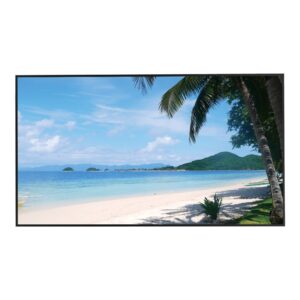 Monitor Led 4K 49" 450 Nit 24/7 DAHUA LM49-S400