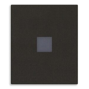Tasto 2M Con Diffusore Assiale Nero VIMAR 31000A.2DG