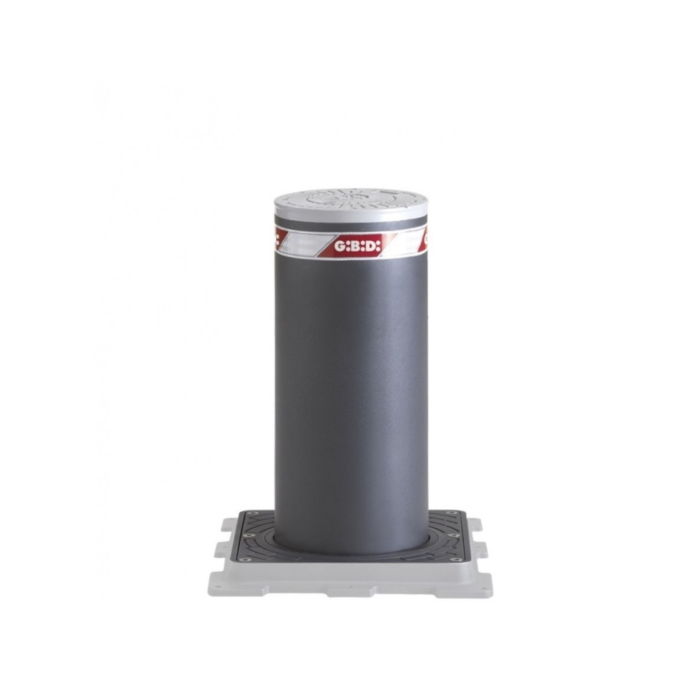 Dissuasore Fisso H600Mm Inox GIBIDI DPT260PF/X