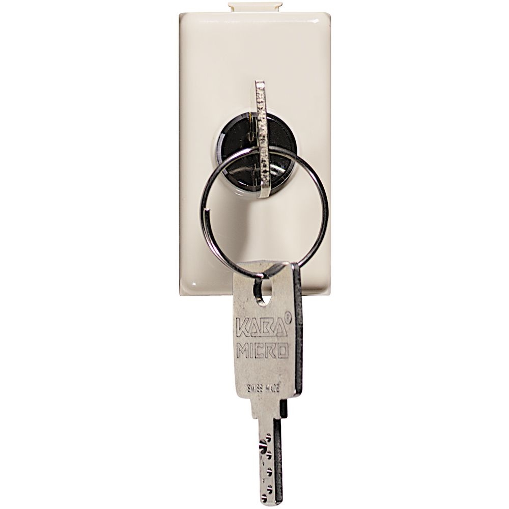 Interruttore A Chiave 2P 16Ax 250 Vac BTICINO A5007C