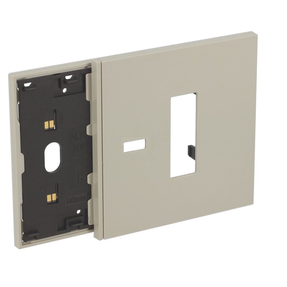 Frame Elettrificato Con Mostrina Presa Italia + Usb BTICINO KM8103M13C