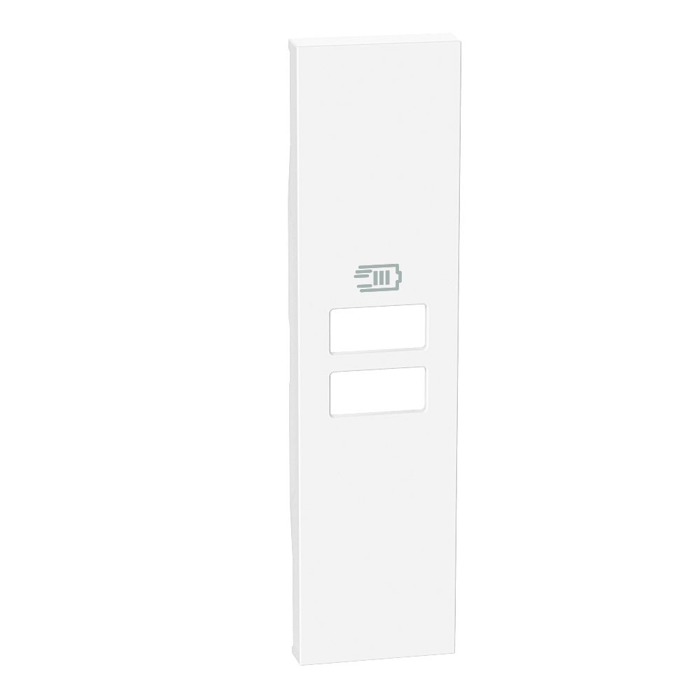 Cover 1 Modulo Per Caricatori Usb BTICINO KW13C