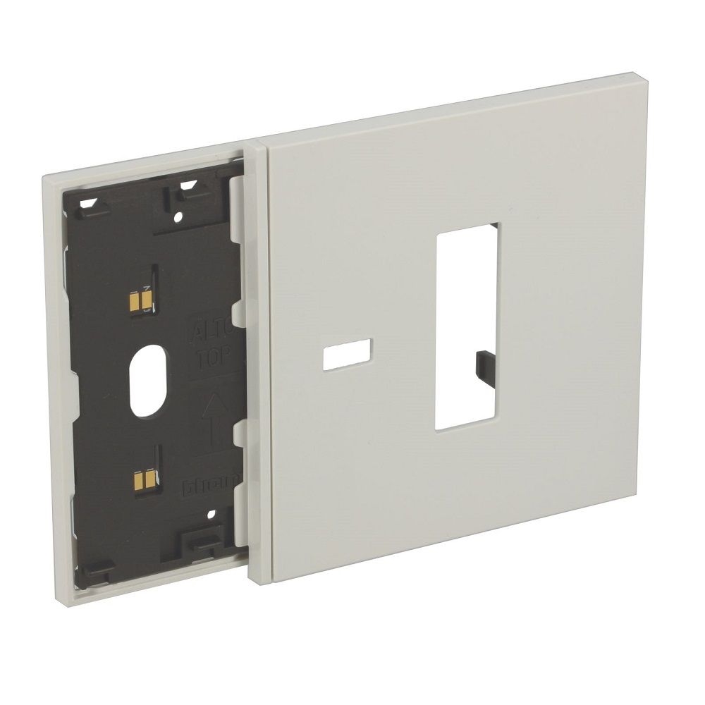 Frame Elettrificato Con Mostrina Presa Italia + Usb BTICINO KW8103M13C