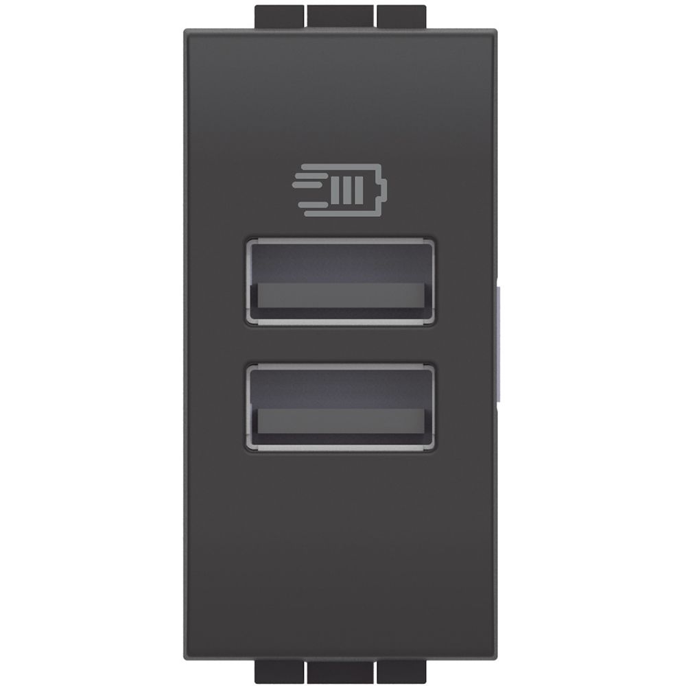 Caricatore Usb Con 2 Prese Usb BTICINO L4191AA