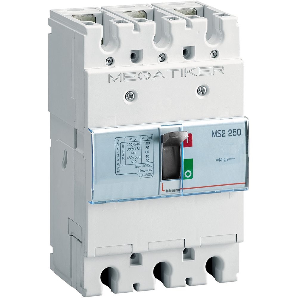 Sezionatore Scatolato Ms2 250 BTICINO T723S250