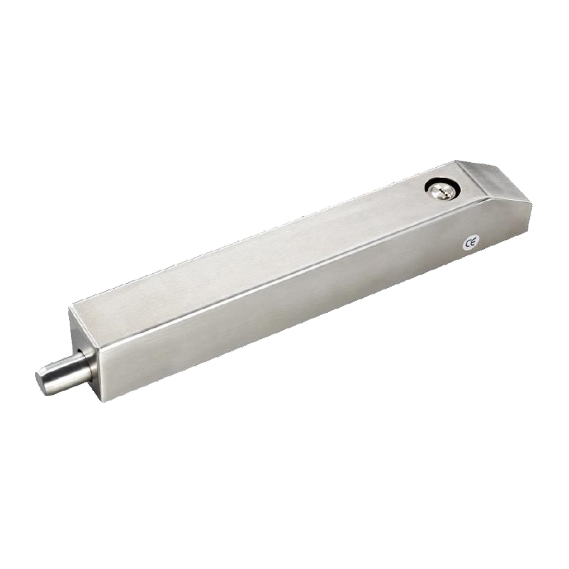 Elettrocatenaccio In Acciaio Inox Aisi 304 - 12 Vdc GLEB02.12