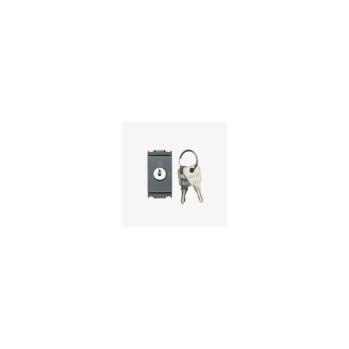 Interruttore 2P 16Ax +Chiave Unif.Grigio VIMAR 16165.CU