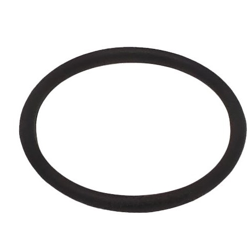 Guarnizione Or 29,82X2,62 3118 Per 750 760 884 593 595 Ricambio FAAC 7090380025