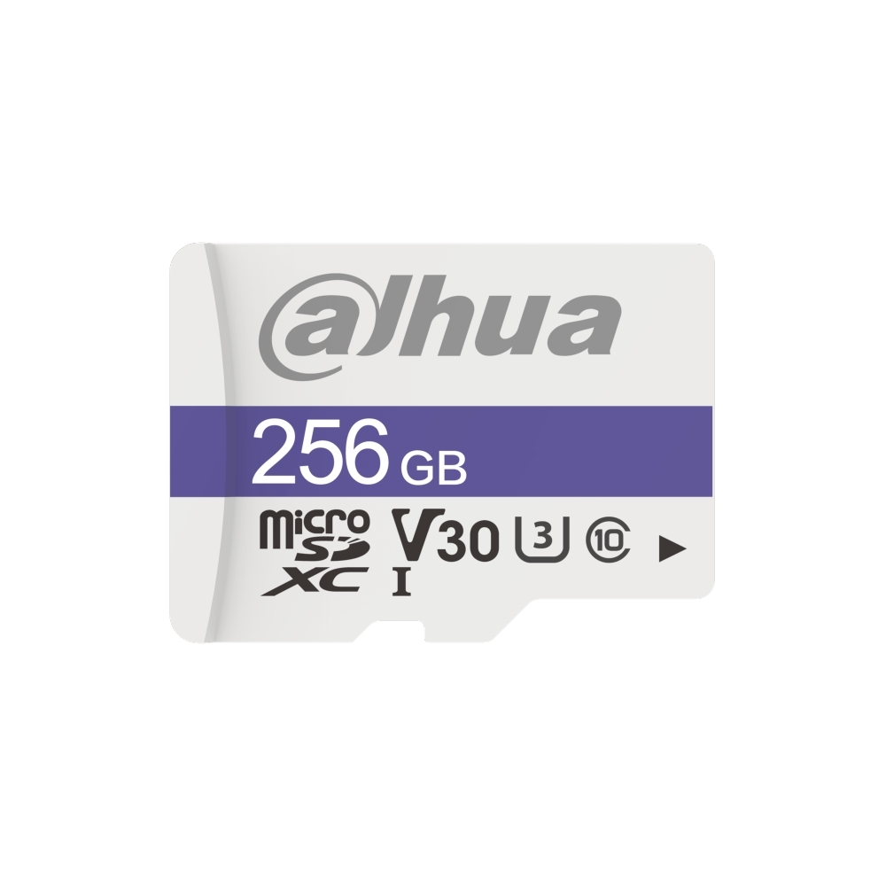 Micro Sd Card 256 Gb DAHUA TF-C100/256GB Fuori Produzione