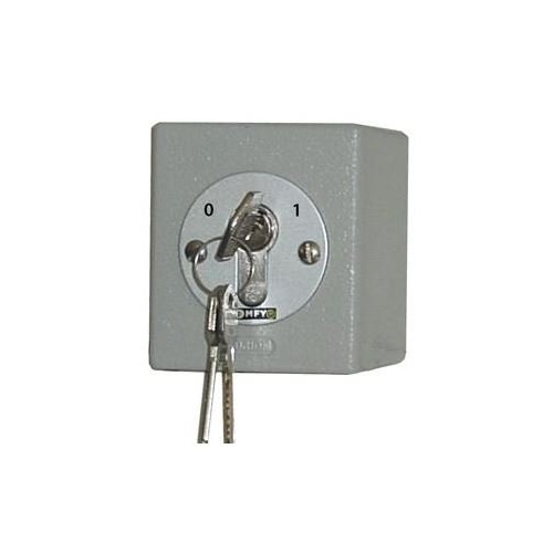 Interruttore A Chiave SOMFY 1841021