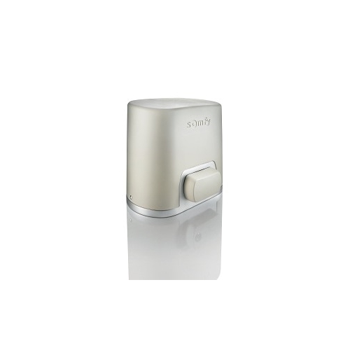 Motore Per Cancello SOMFY ELIXO OPTIMO 24V RTS STD PACK 1216413