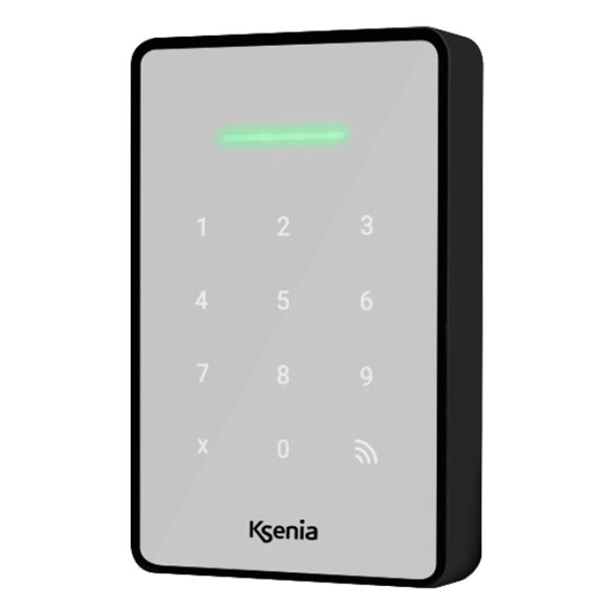 Tastiera Da Esterno Ergo-X Grigio KSENIA KSI2100031.303 Allarme Antifurto Antintrusione