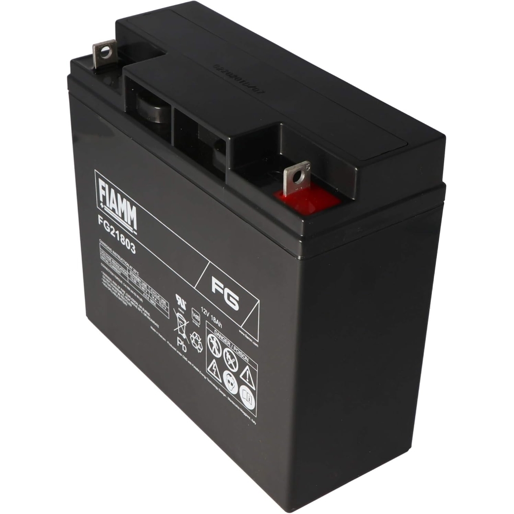 Batteria Fg 12V 18Ah FIAMM FG21803