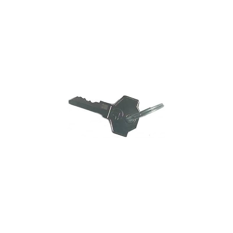 Coppia Chiavi Cifrate 201 Per Motore 770 N 770N Ricambio Originale FAAC 713021