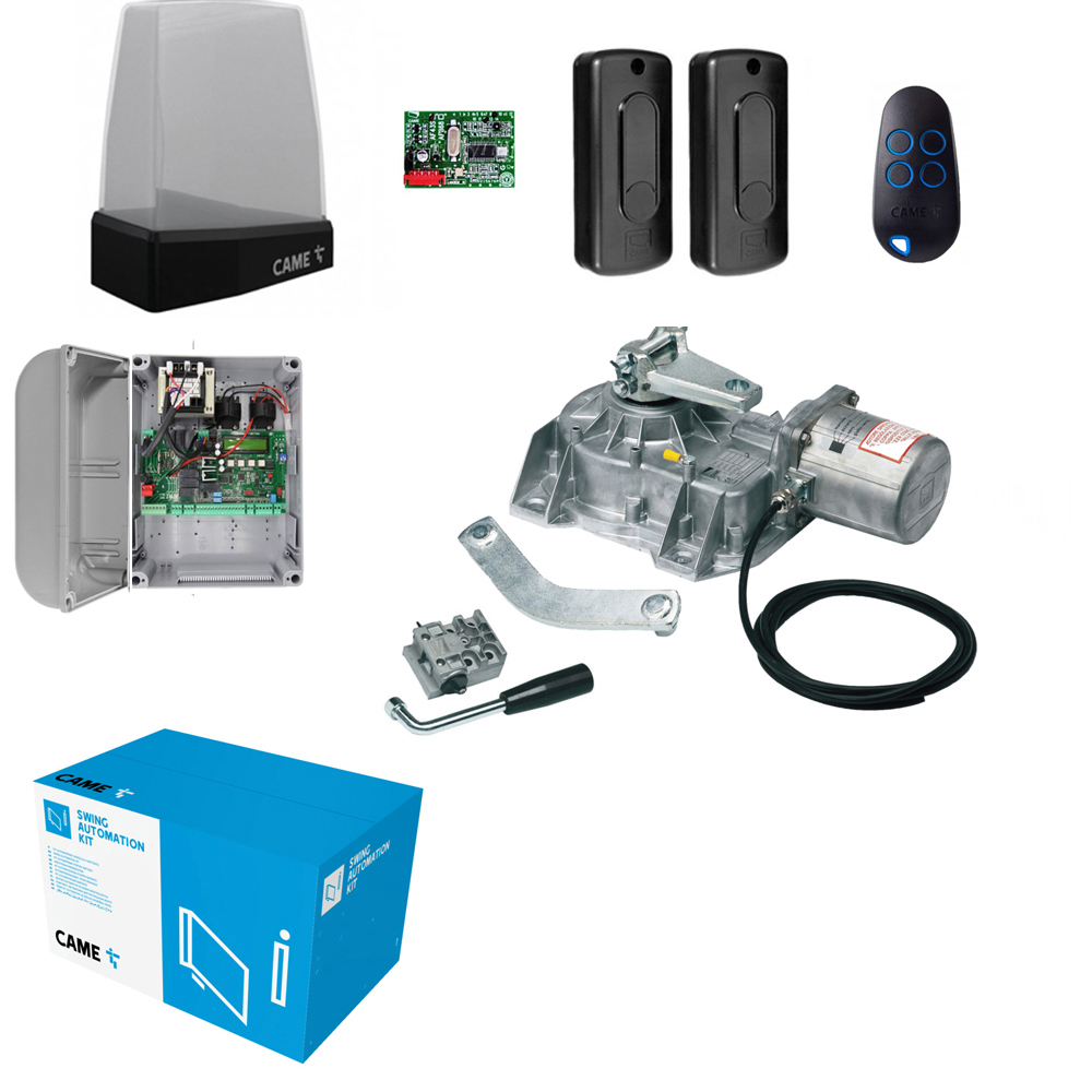 Kit Automazione Per Cancello Anta Battente CAME FROG-AE Interrato 230V