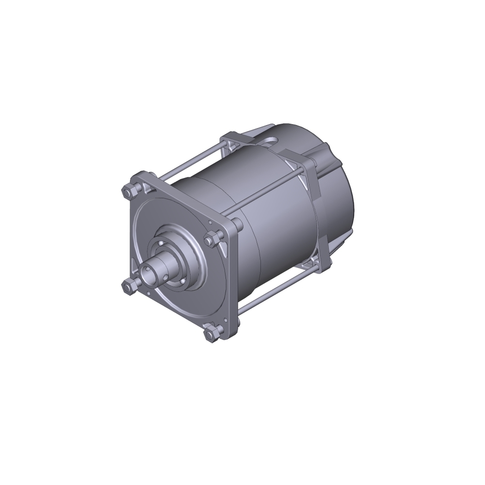 Gruppo Motore Elettrico 230v - E306 Ricambio CAME 119RIE151